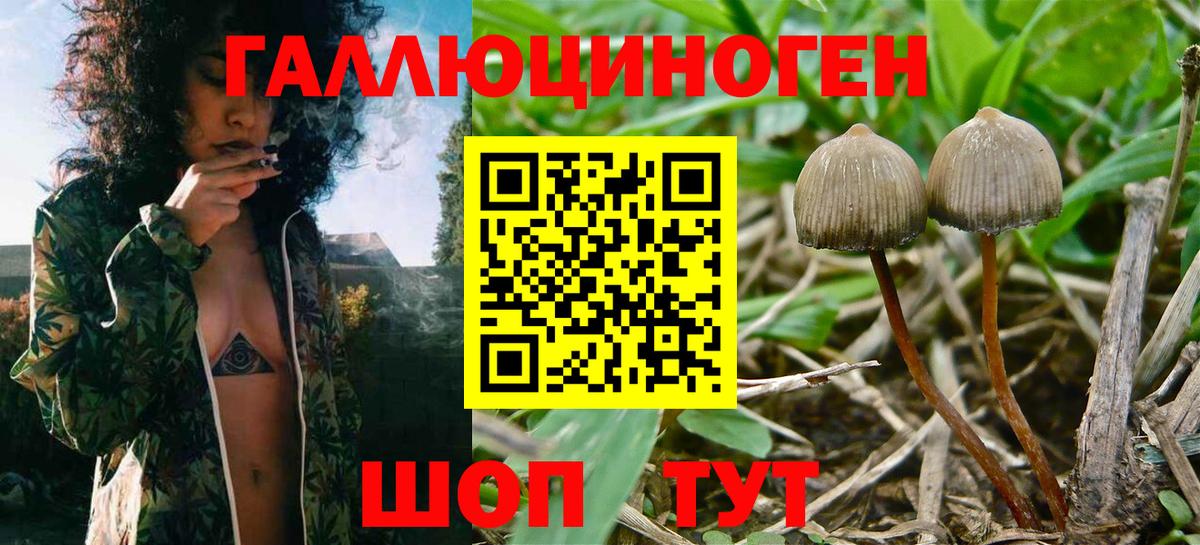 Галлюциногенные грибы Magic Shrooms Озёры