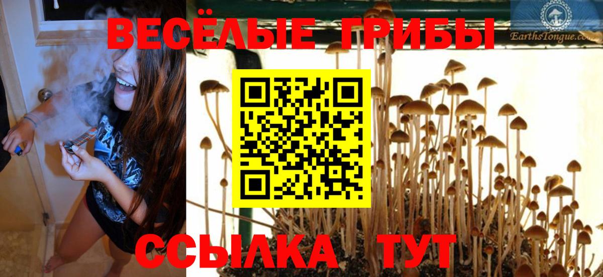 Галлюциногенные грибы Cubensis  Вход с VPN  Псилоцибиновые грибы прущие грибы  Озёры 